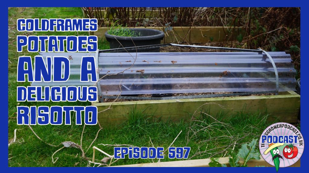 This week in the veg grower podcast Richard has got his coldframes ready for spring, been potato planting and a delicious risotto