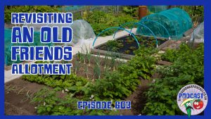 Join Richard in this weeks podcast in which he revisits Stephens allotment after a few years since his last visit