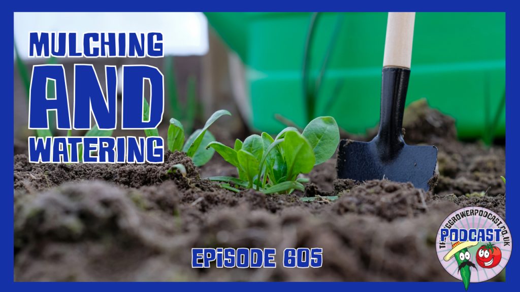 Join Richard in this weeks episode as he battles with the lack of rain, by mulching and setting up irrigation systems