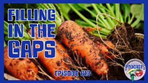 In this weeks episode of the veg grower podacst, Richard is for ever trying to be as producive as ever by filling those gaps that are empty