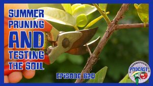 Join Richard in this weeks podcast as he takes you through the summer pruning on his allotment and tests his soil at home.