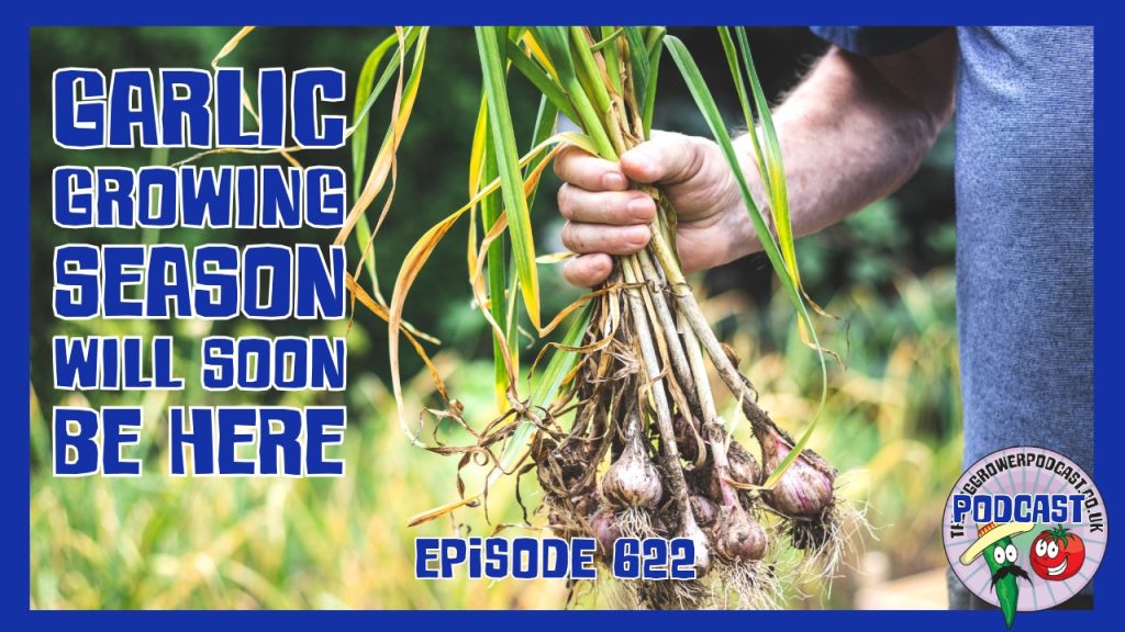 Join Richard in this weeks podacst as he gets ready to start growing garlic for this season. Also the latest from the allotment and garden