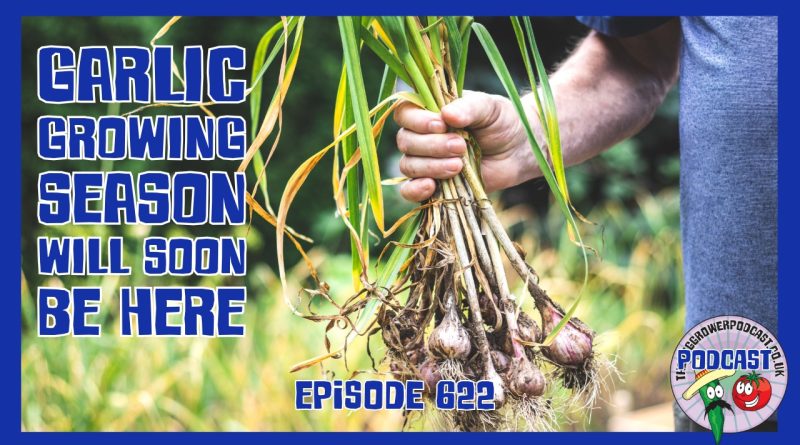 Join Richard in this weeks podacst as he gets ready to start growing garlic for this season. Also the latest from the allotment and garden