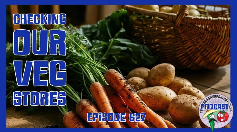 Join Richard in this weeks episode as hes empahasisies how important it is to check our stores for spoilt veg.