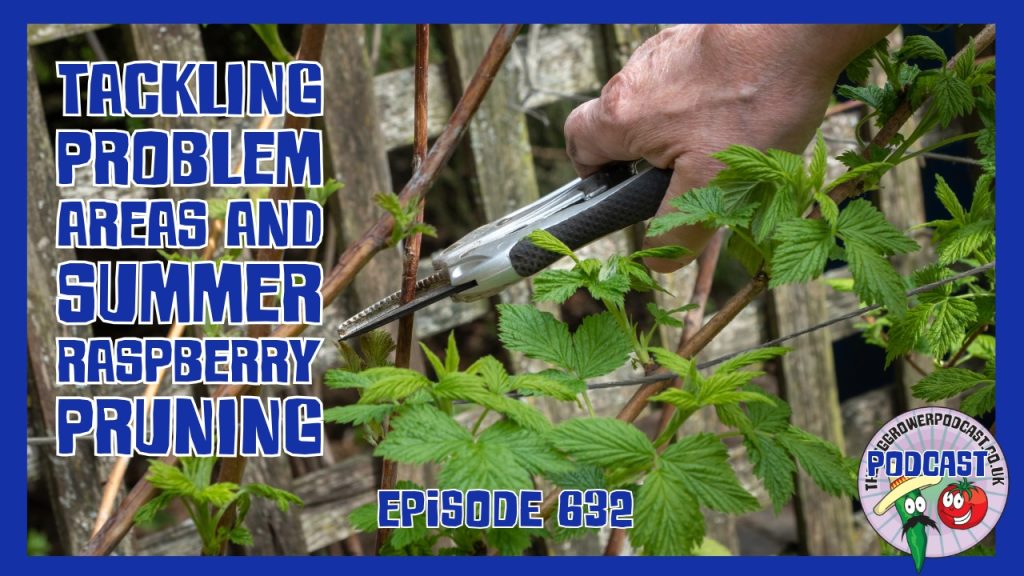 Join Richard in this weeks podacst as he tackles problema reas on the allotment and starts pruning raspberries.