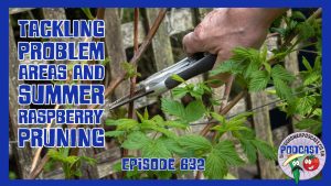 Join Richard in this weeks podacst as he tackles problema reas on the allotment and starts pruning raspberries.