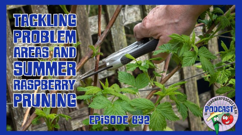 Join Richard in this weeks podacst as he tackles problema reas on the allotment and starts pruning raspberries.