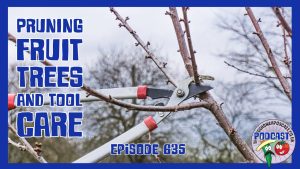 In this weeks episode Richard has been pruning fruit tress on the allotment, as well as servicing his tools in the kitchen garden.