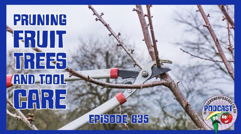 In this weeks episode Richard has been pruning fruit tress on the allotment, as well as servicing his tools in the kitchen garden.