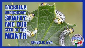 Join Richard in this weeks podcast as he tackles time constraints but still gets to the alltoment and talks about gooseberry sawfly.