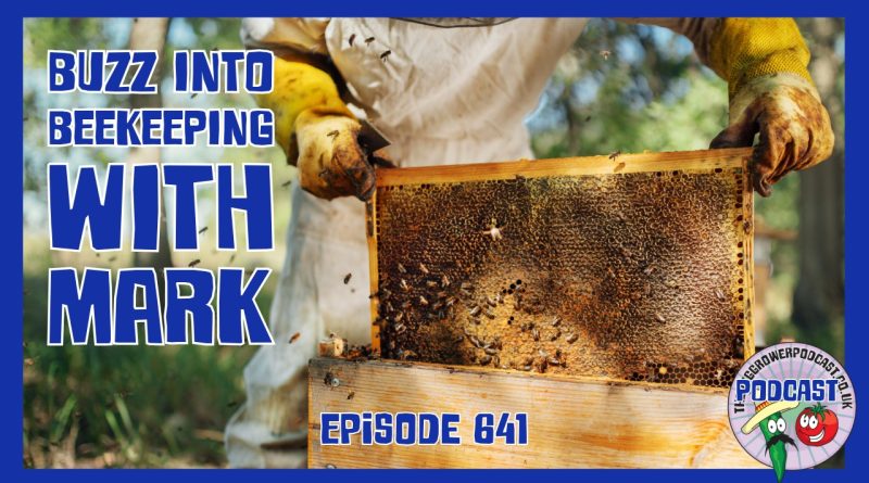 A winter update from the Veg Grower Podcast covering allotment jobs, seed sowing and a fascinating introduction to beekeeping.