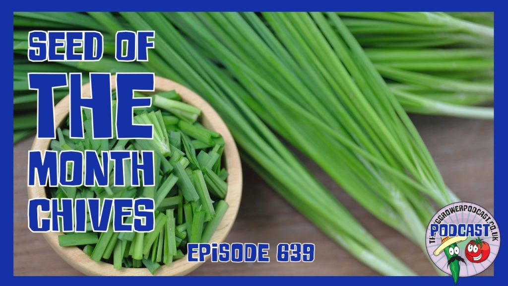 Is it too early to sow seeds in January? In this episode of the Veg Grower Podcast, Richard shares honest advice, seed of the month chives, and winter allotment updates.