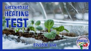 Greenhouse heating tests, straw bale gardening and early spring prep. Here’s what’s been happening this week on the Veg Grower Podcast.