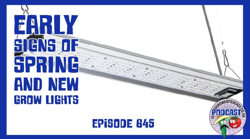 A dry weekend brings early asparagus, winter tidy‑ups, greenhouse prep and a deep dive into grow lights for vegetable seedlings.
