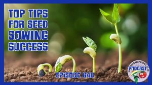 This week, Richard removes a elm tree, spreads, plants new Jerusalem artichokes and shares his top tips for successful seed germination