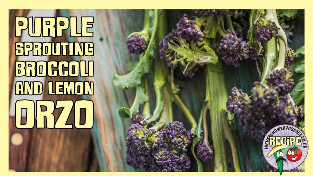 A seasonal purple sprouting broccoli recipe with lemon butter orzo, perfect for harvesting early spring crops.