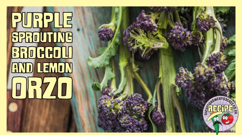 A seasonal purple sprouting broccoli recipe with lemon butter orzo, perfect for harvesting early spring crops.