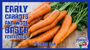 Spring arrives in the garden with early carrot sowings, soil‑building and a chat with Traditional Garden Growers about wool fertilisers.