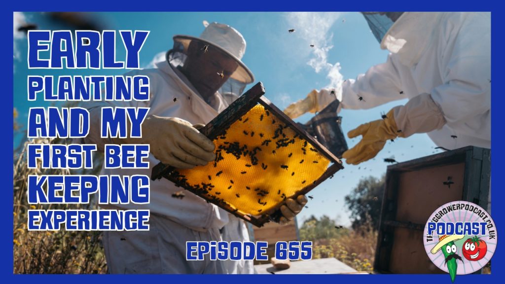 A look at this week’s early planting, brassica protection on the allotment, a simple pea and mint soup, and my hands‑on beekeeping experience