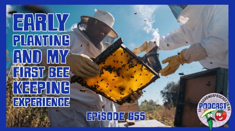 A look at this week’s early planting, brassica protection on the allotment, a simple pea and mint soup, and my hands‑on beekeeping experience