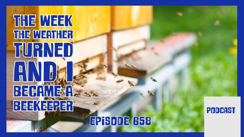 A surprise mid‑May frost hits the allotment, the kitchen garden gets a refresh, and Richard finally begins his beekeeping journey.