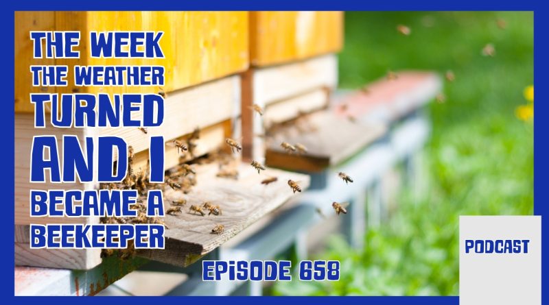 A surprise mid‑May frost hits the allotment, the kitchen garden gets a refresh, and Richard finally begins his beekeeping journey.