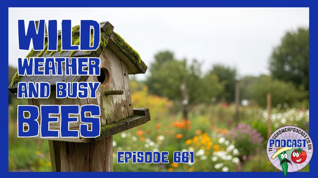 Early June gardening with wild weather, bee updates and successional sowing tips to keep your plot productive. Tune in to this week’s episode.