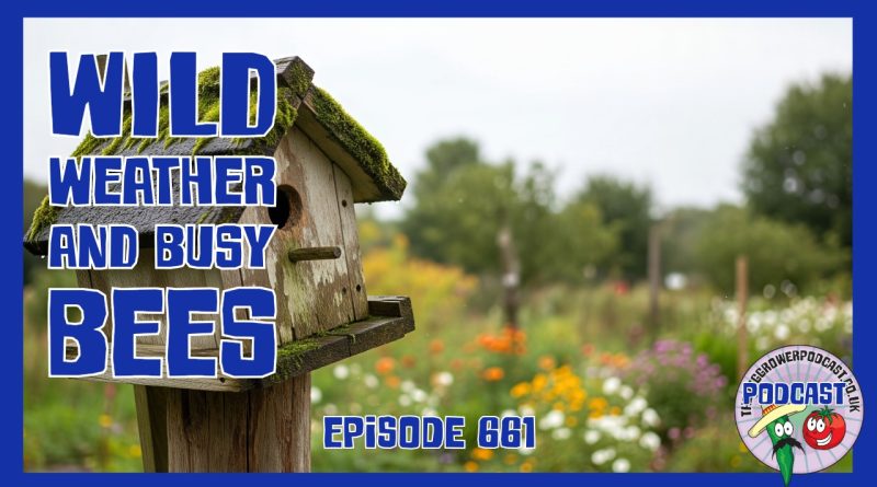 Early June gardening with wild weather, bee updates and successional sowing tips to keep your plot productive. Tune in to this week’s episode.