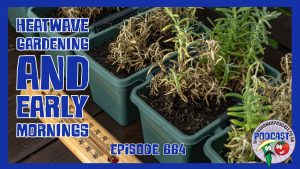 Episode 664 explores how Richard gardens through a UK heatwave using deep watering, mulching and early mornings.
