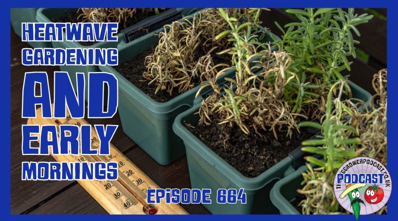 Episode 664 explores how Richard gardens through a UK heatwave using deep watering, mulching and early mornings.