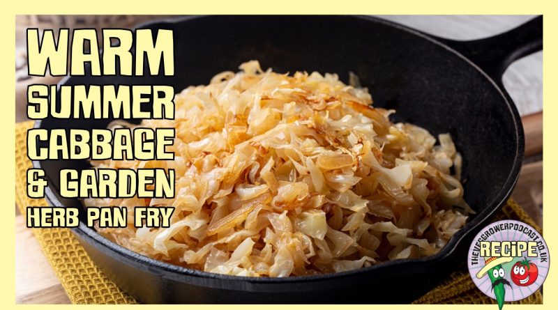 Try this tasty delious summer canbbage and hgarden herb pan fry, to use up those delicous cabbages you have growing in your garden.