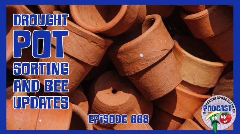Richard tackles untidy allotment borders, plants kale. In the kitchen garden he sorts and organises a huge collection of plant pots.