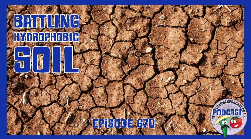 In this week’s Veg Grower Podcast, Richard tackles hydrophobic soil caused by drought, experiments with greywater filtration.