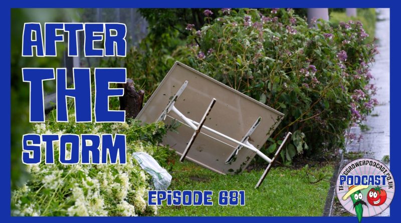Tidy sheds, clear storm debris, organise old seed and make roasted pumpkin soup in this practical autumn episode of The Veg Grower Podcast.